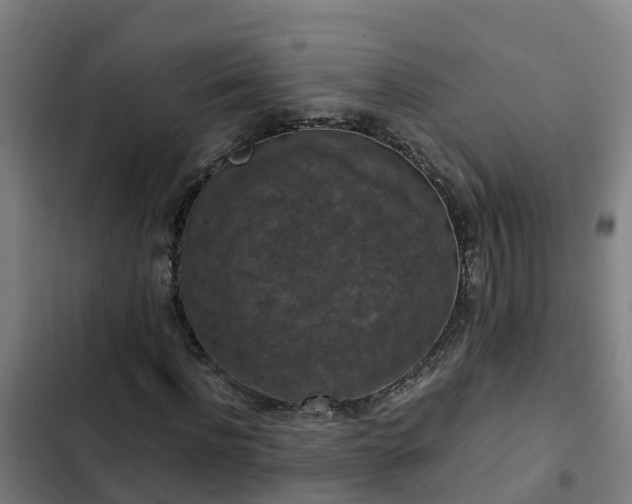 X0000103140916200808291335