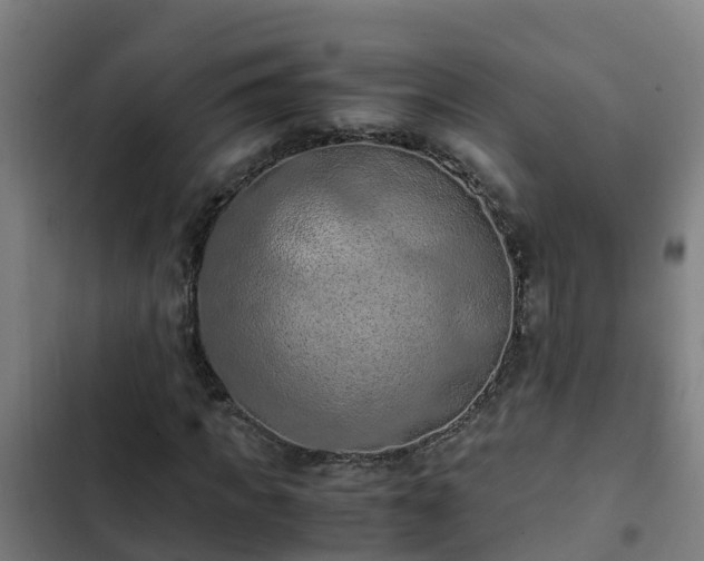 X0000103140917200808291335