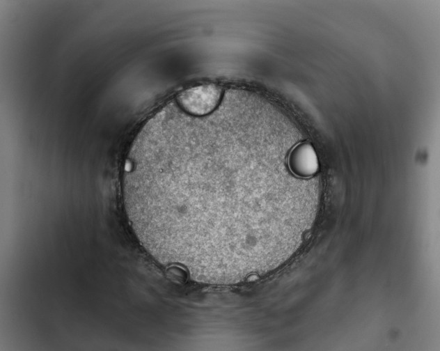 X0000103140918200808291335