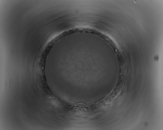 X0000103140919200808291335