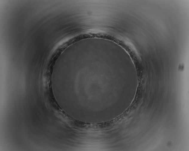 X0000103140920200808291335