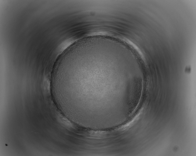 X0000103140921200808291335