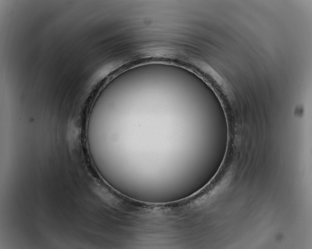 X0000103140922200808291335