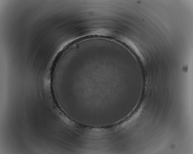 X0000103140923200808291335