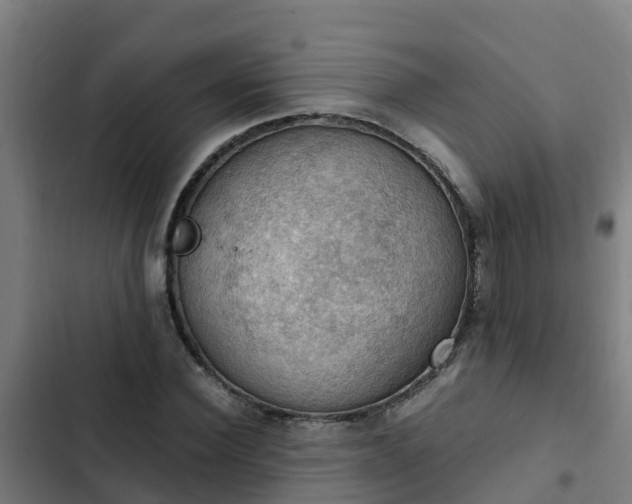 X0000103140924200808291335