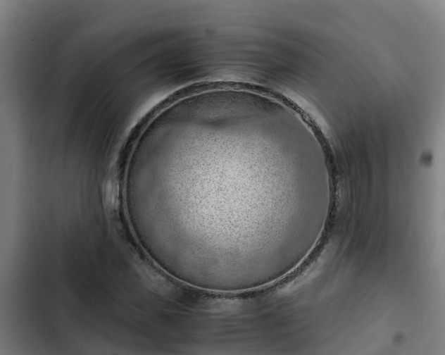 X0000103140925200808291335