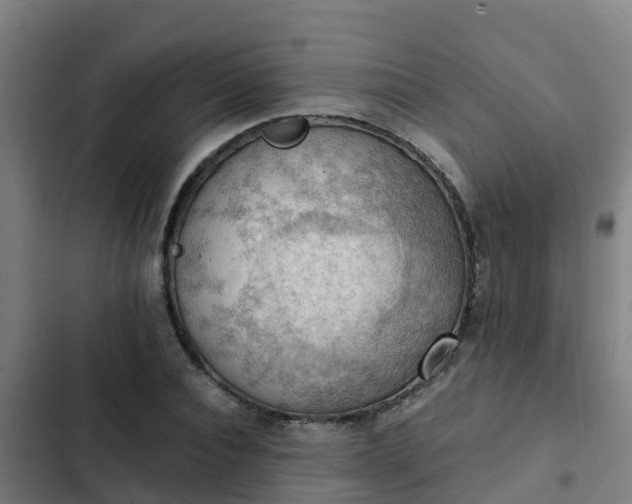 X0000103140928200808291335