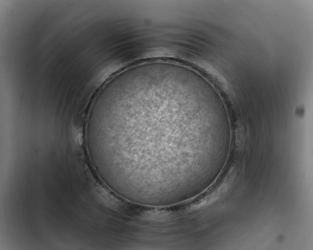 X0000103140929200808291335