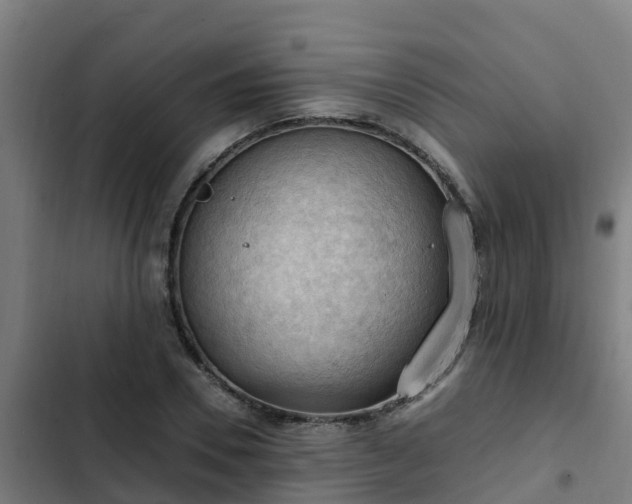 X0000103140930200808291335