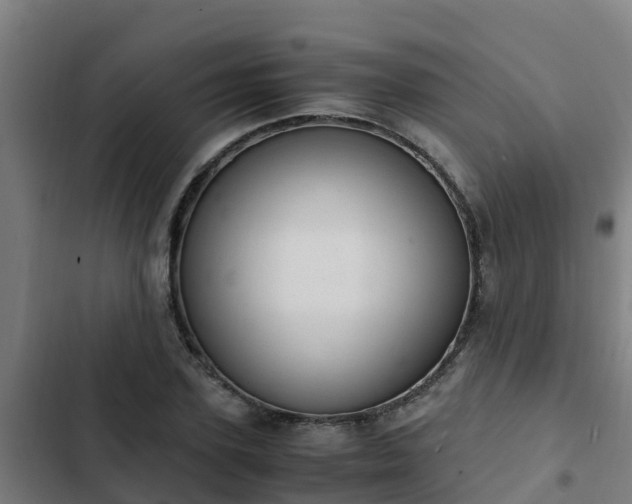 X0000103140931200808291335