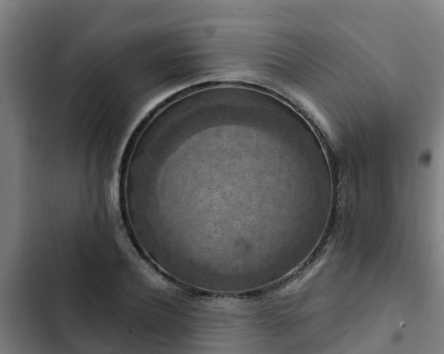 X0000103140932200808291335