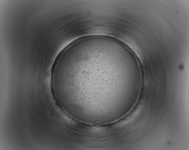 X0000103140933200808291335