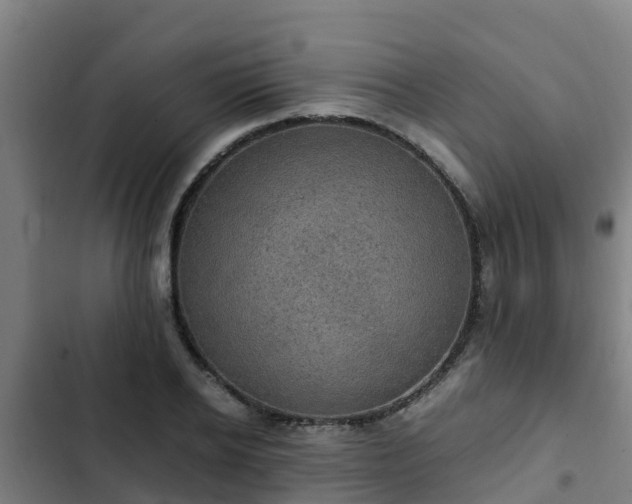 X0000103140934200808291335