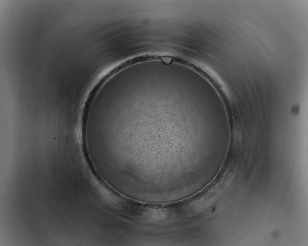 X0000103140935200808291335