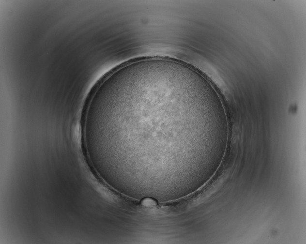 X0000103140936200808291335