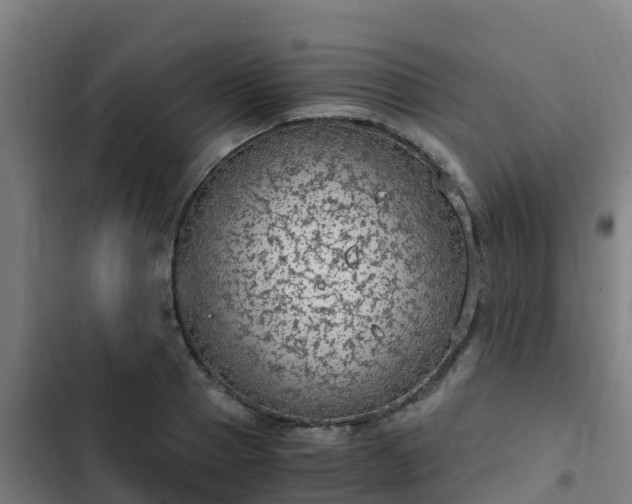 X0000103140937200808291335