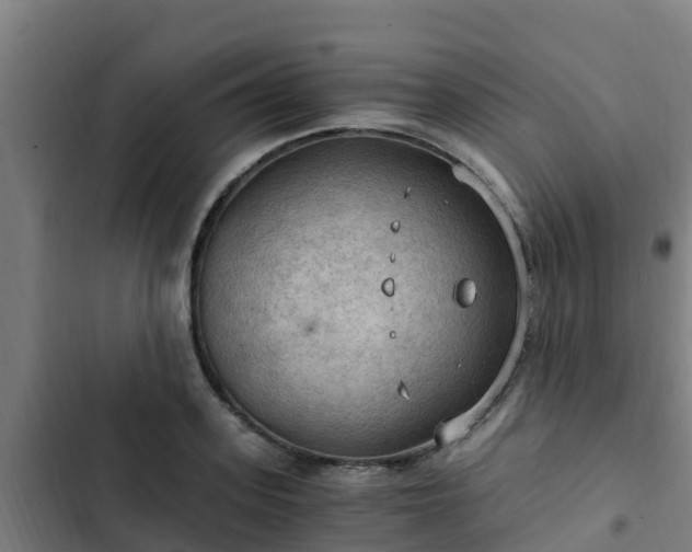 X0000103140939200808291335