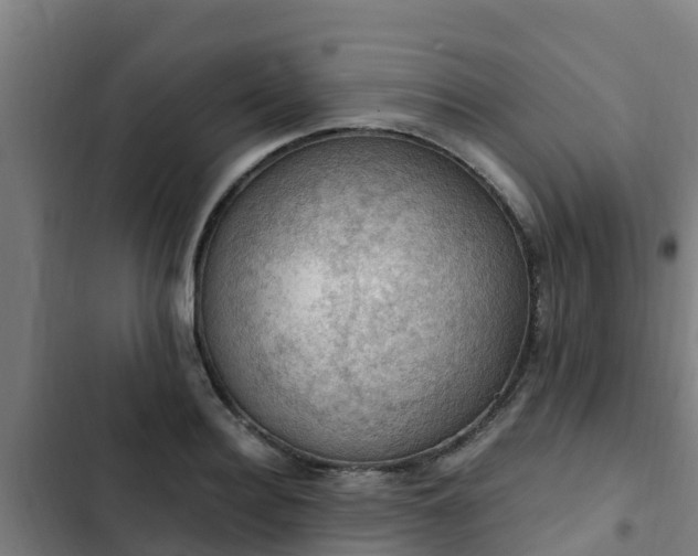 X0000103140940200808291335