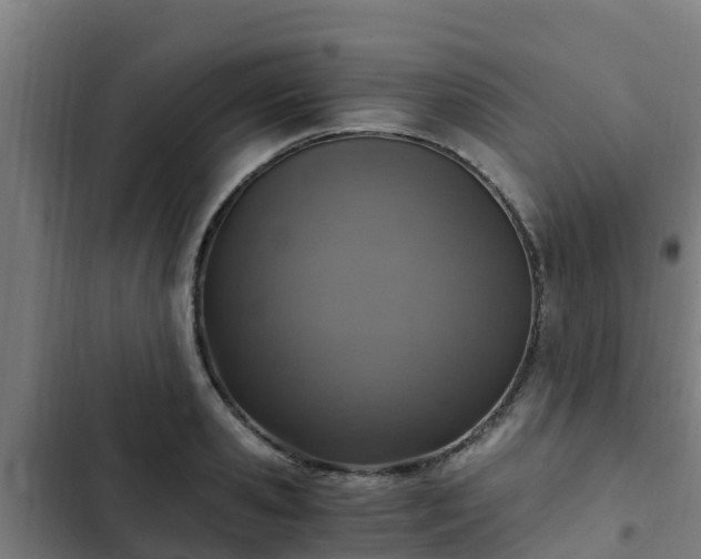 X0000103140941200808291335