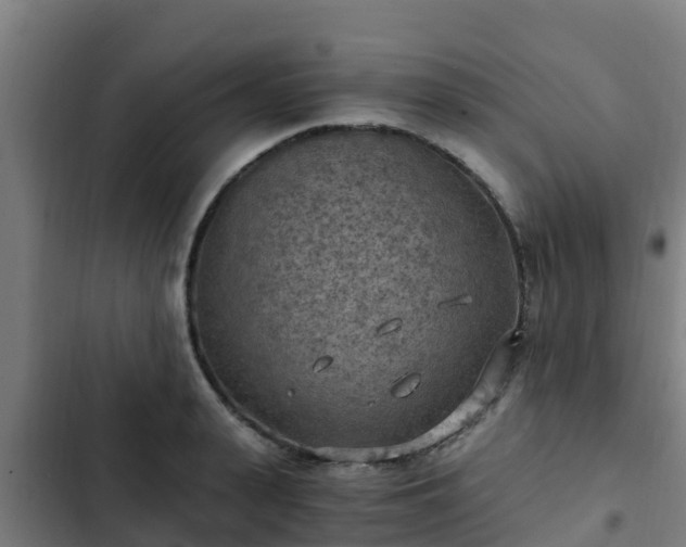 X0000103140943200808291335