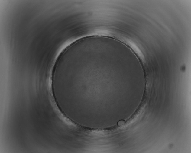 X0000103140944200808291335