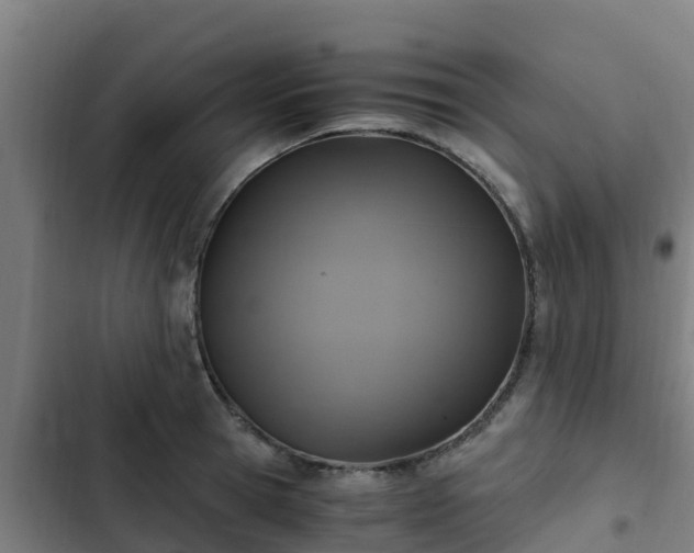 X0000103140945200808291335