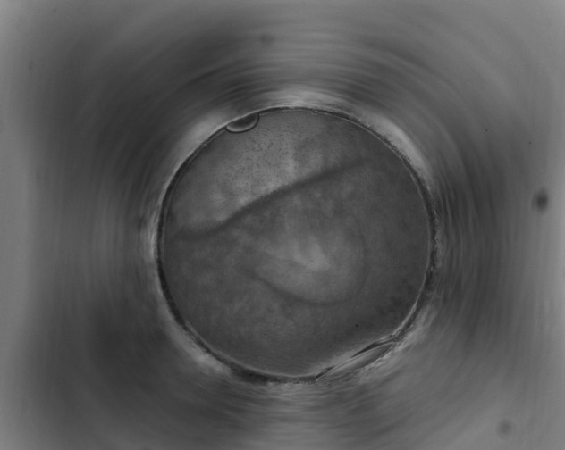 X0000103140946200808291335