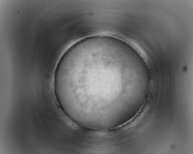 X0000103140948200808291335