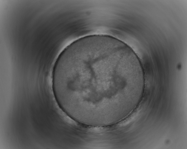 X0000103140950200808291335