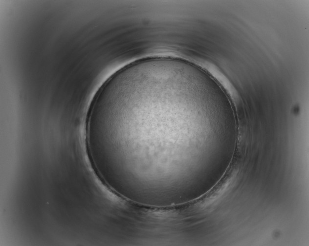 X0000103140951200808291335