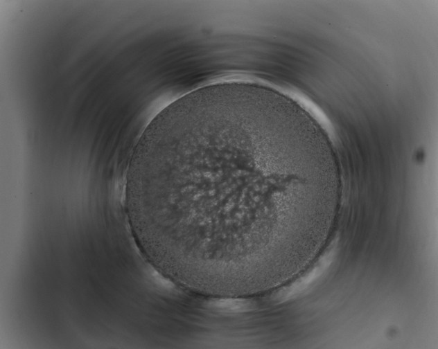 X0000103140953200808291335