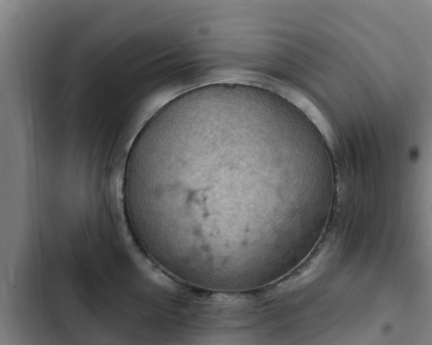 X0000103140954200808291335