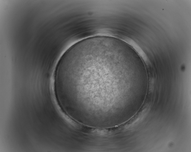 X0000103140955200808291335