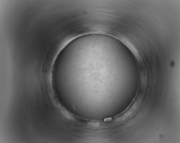 X0000103140956200808291335