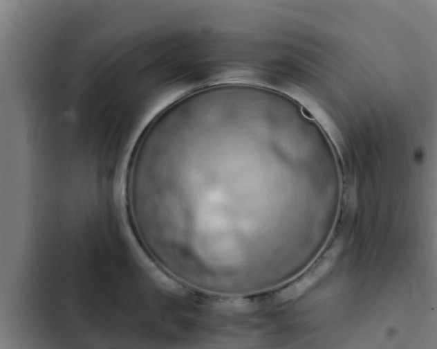 X0000103140957200808291335