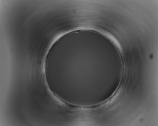 X0000103140958200808291335