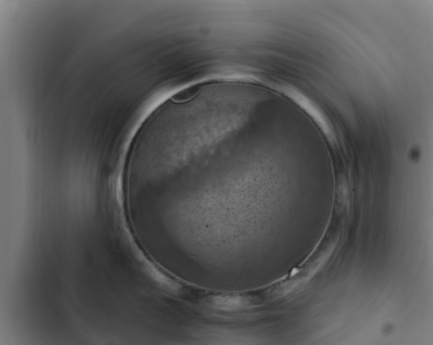 X0000103140959200808291335