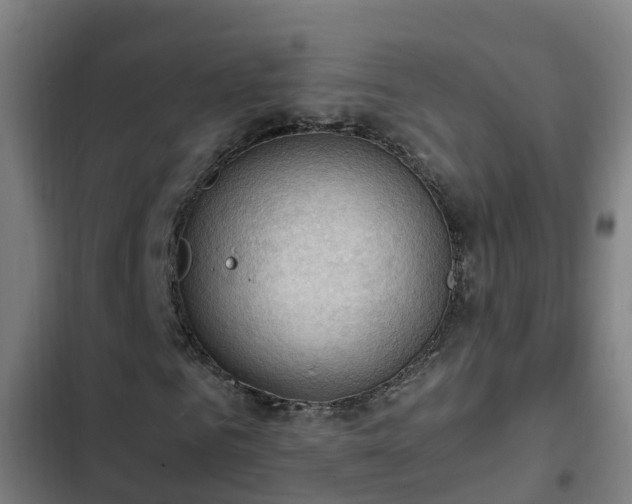 X0000103140961200808291335