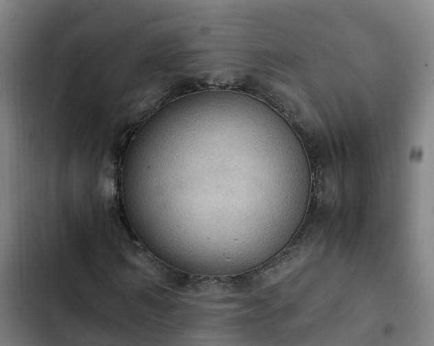 X0000103140962200808291335