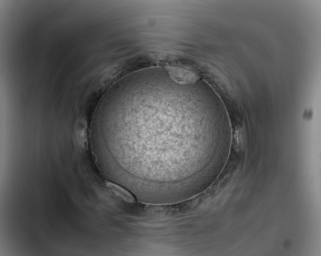 X0000103140963200808291334