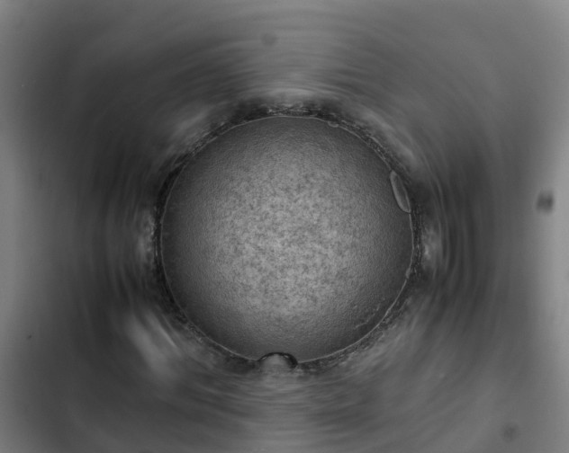 X0000103140964200808291334