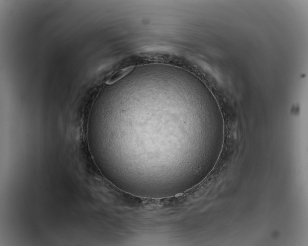 X0000103140965200808291334