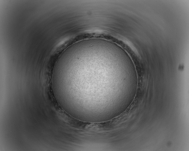 X0000103140967200808291334