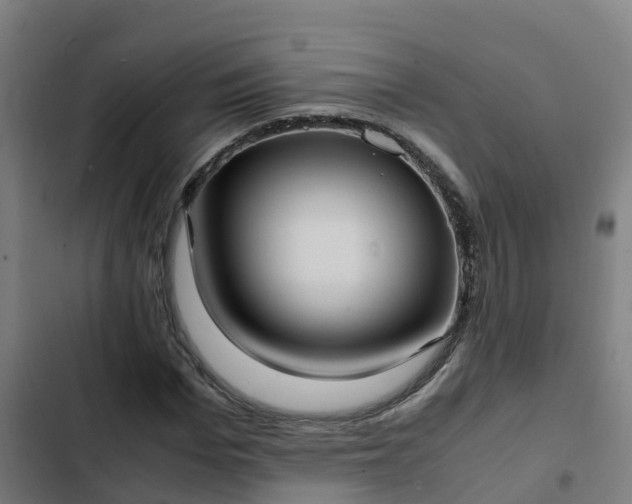 X0000103140969200808291334