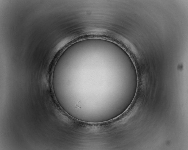 X0000103140970200808291334