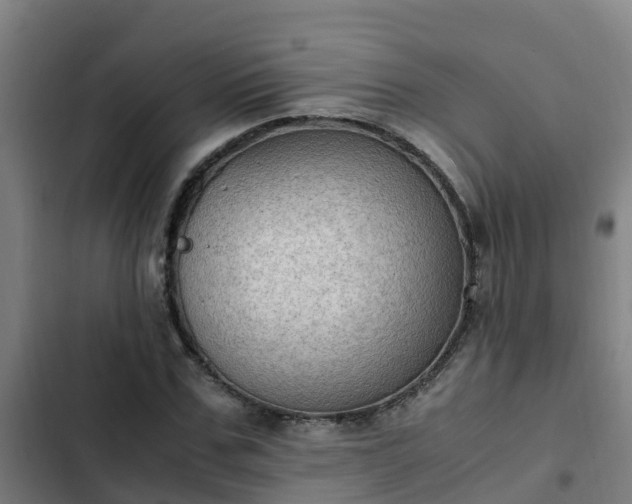 X0000103140971200808291334