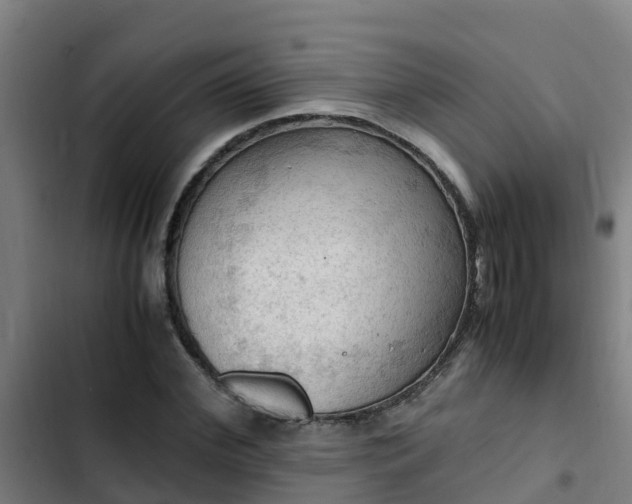 X0000103140972200808291334