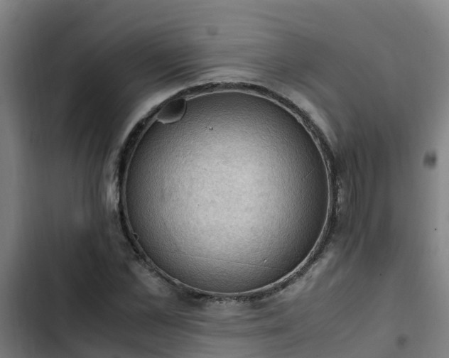 X0000103140973200808291334