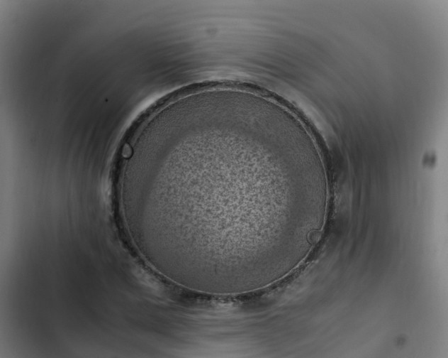 X0000103140975200808291334