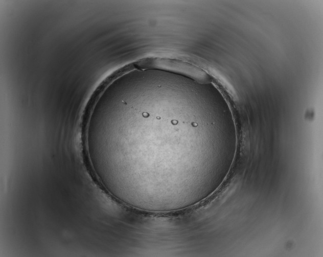 X0000103140976200808291334